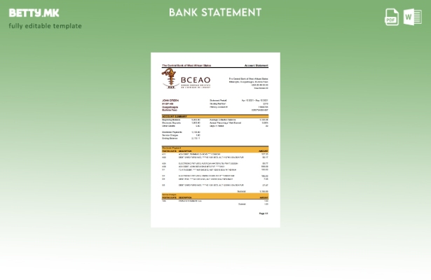 модерен стил Буркина Фасо Шаблон ексел за банкарски извод на Централната банка н